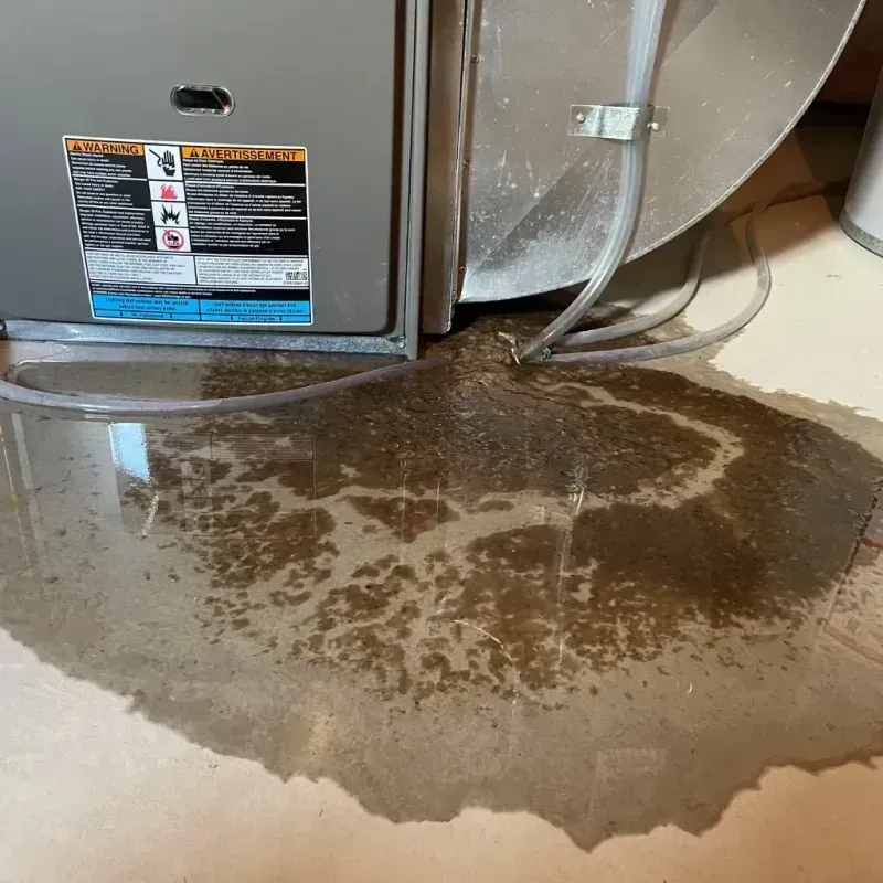 Appliance Leak Cleanup in Fall Creek, WI